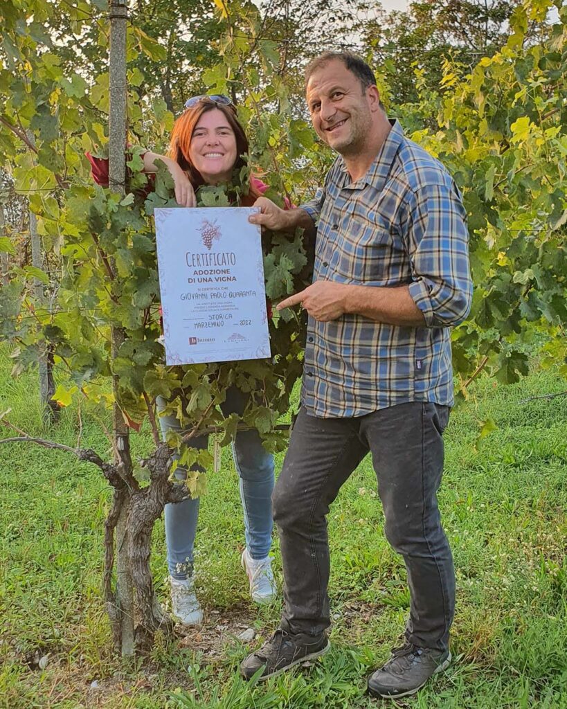 Adozione-vigneto-idea-regalo-originale