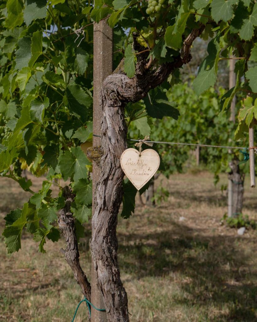 adotta-una-vigna-idee-regalo-romantica