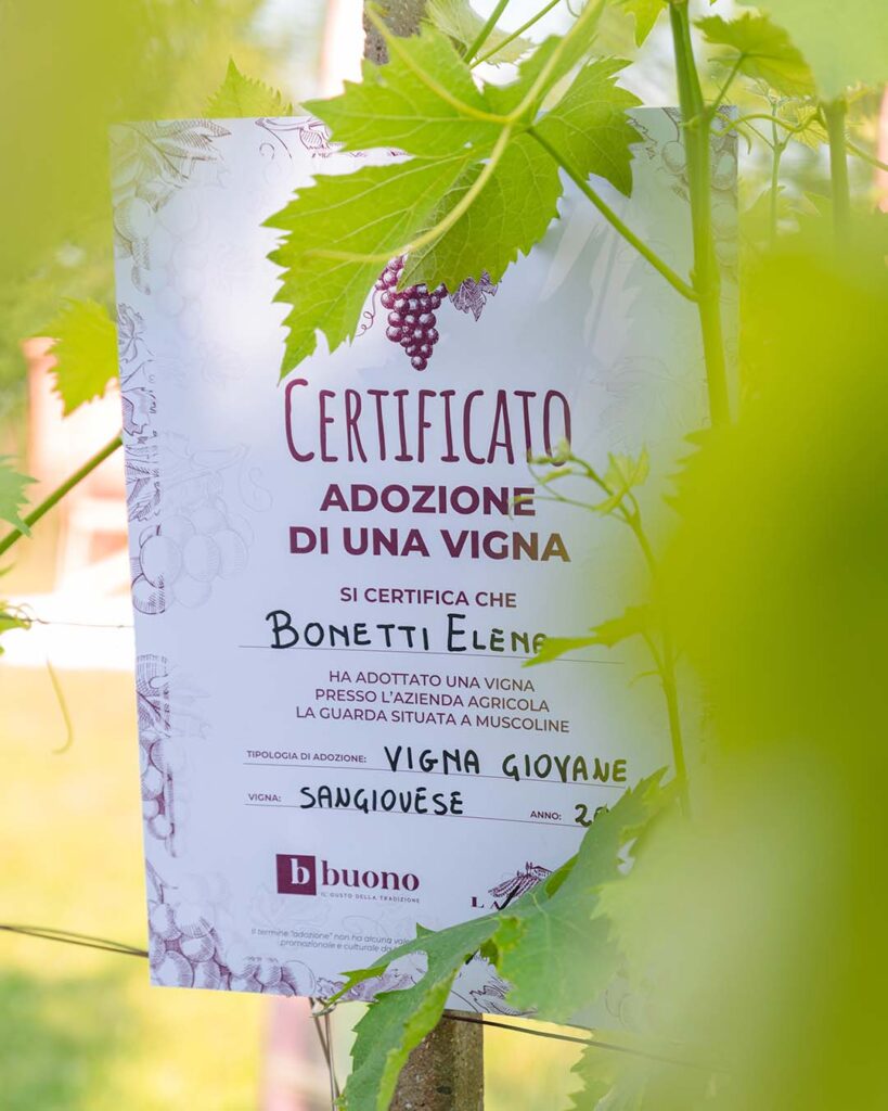attestato-di-adozione-di-una-vigna