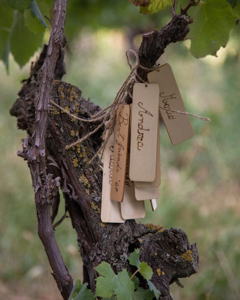 regalo-adozione-di-un-vigna