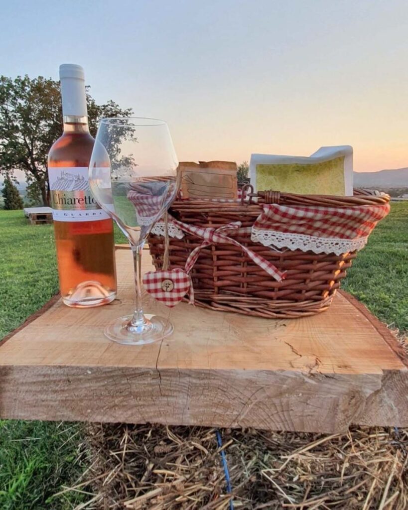 Pic-nic-in-vigna